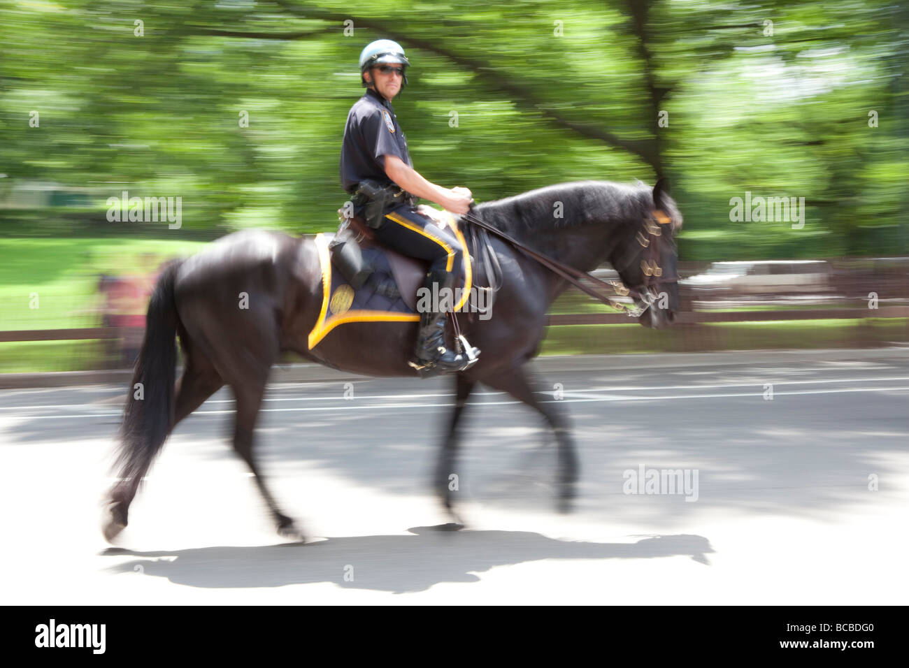 La police sur un cheval dans Central Park NYC Banque D'Images