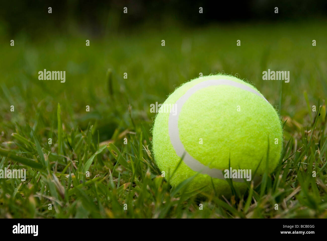balle de tennis Banque D'Images