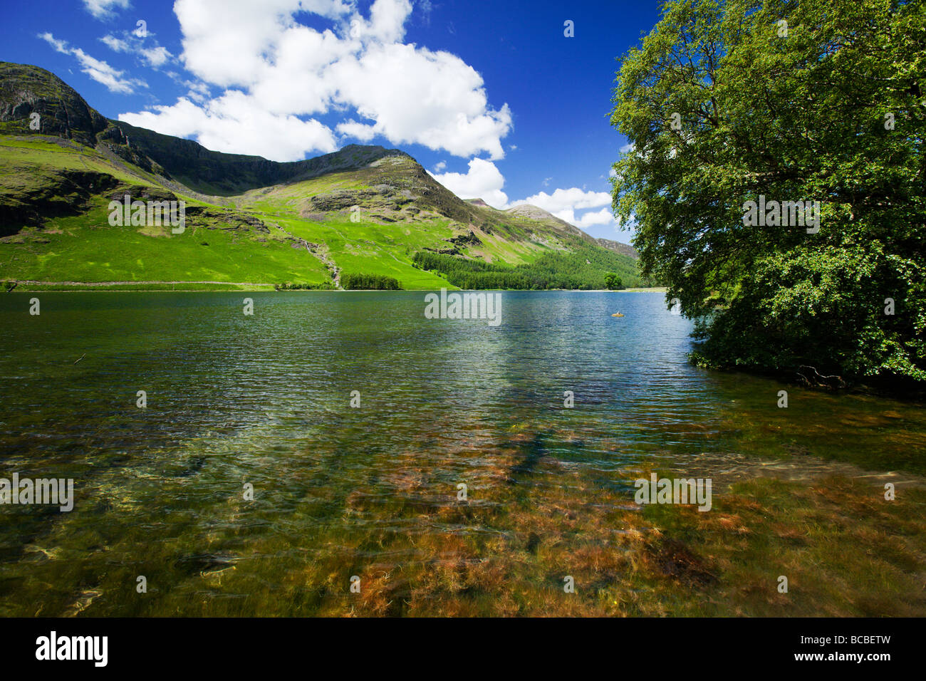 Buttermere Lakeshore avec Red Pike Mountain à travers le lac, Buttermere Lake District' 'le Cumbria England UK Banque D'Images