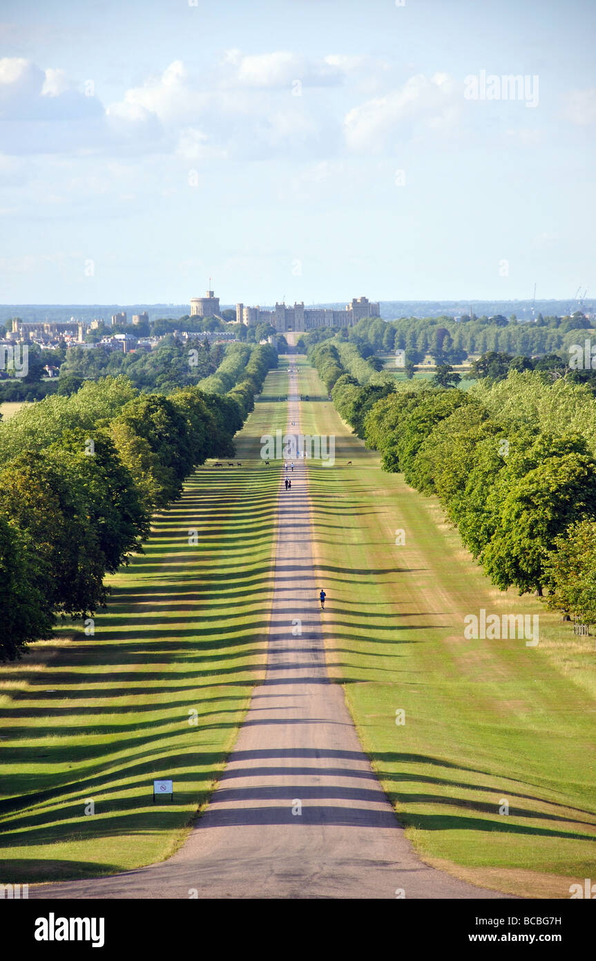 La longue marche, Windsor Great Park, Windsor, Berkshire, Angleterre, Royaume-Uni Banque D'Images