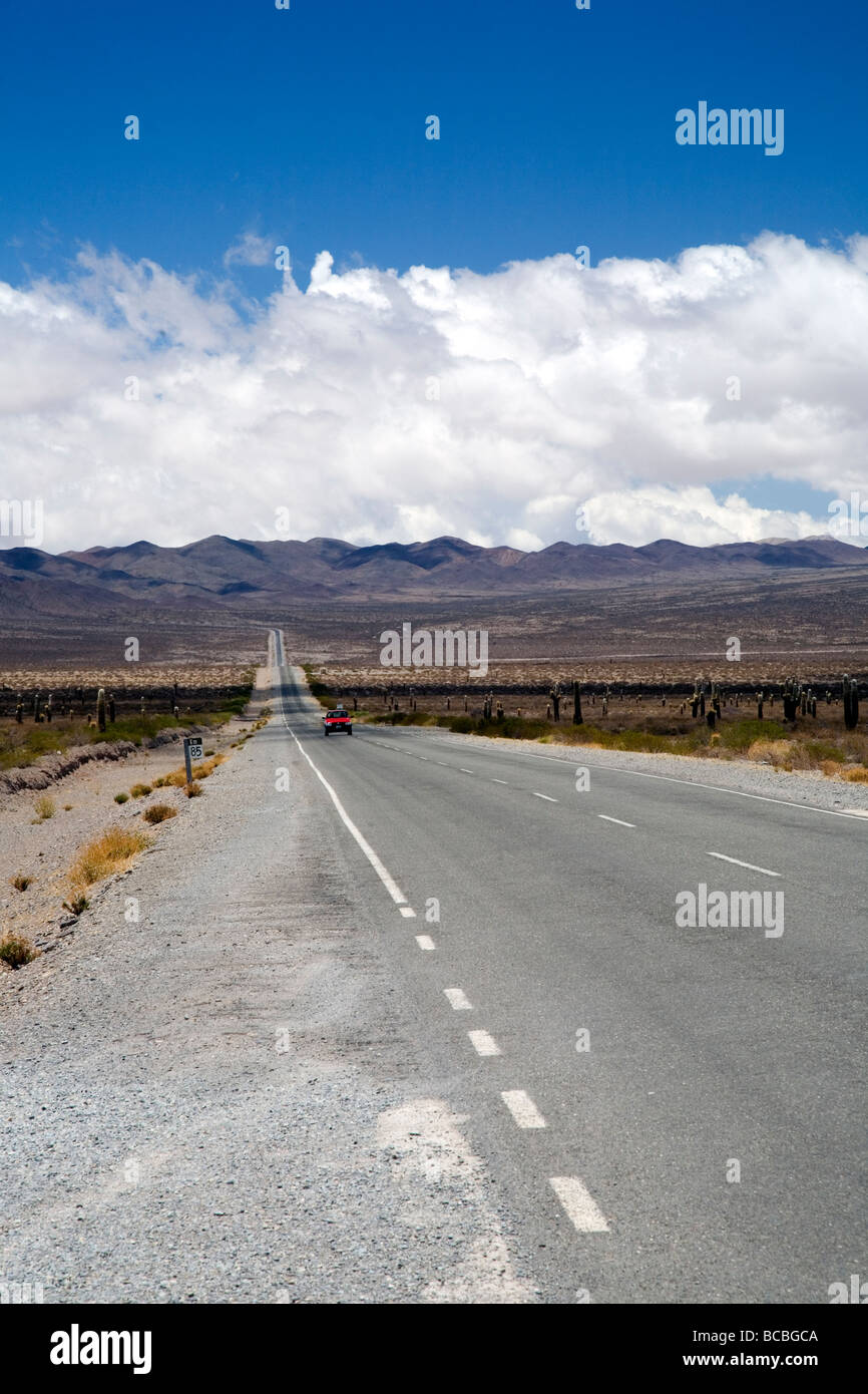Route 40 qui traverse le Parque Nacional de Los Cardones, Province de Salta, Argentine Banque D'Images