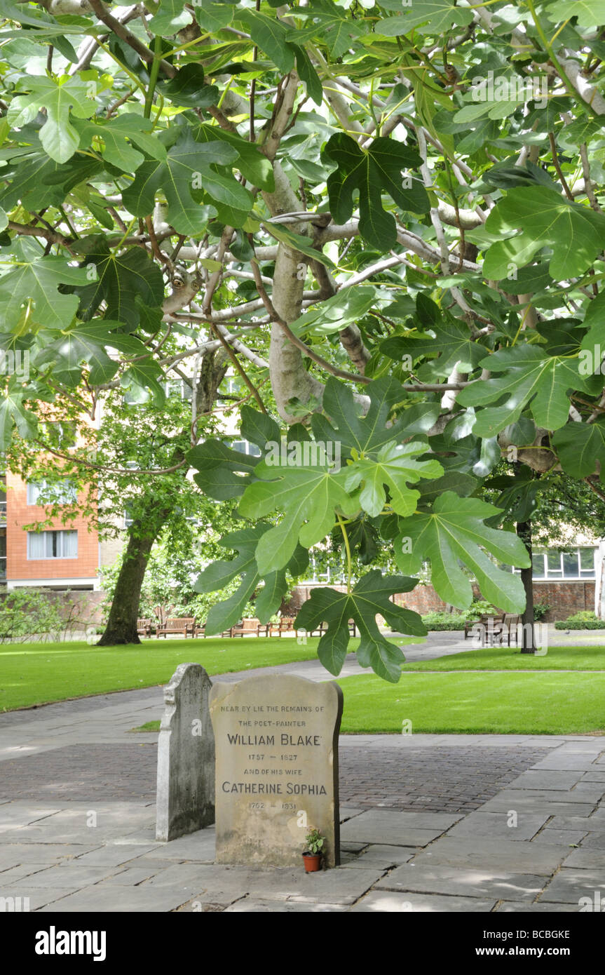 La pierre tombale de William Blake et son épouse Catherine avec figuier Bunhill Fields Islington Londres Angleterre Royaume-uni Banque D'Images