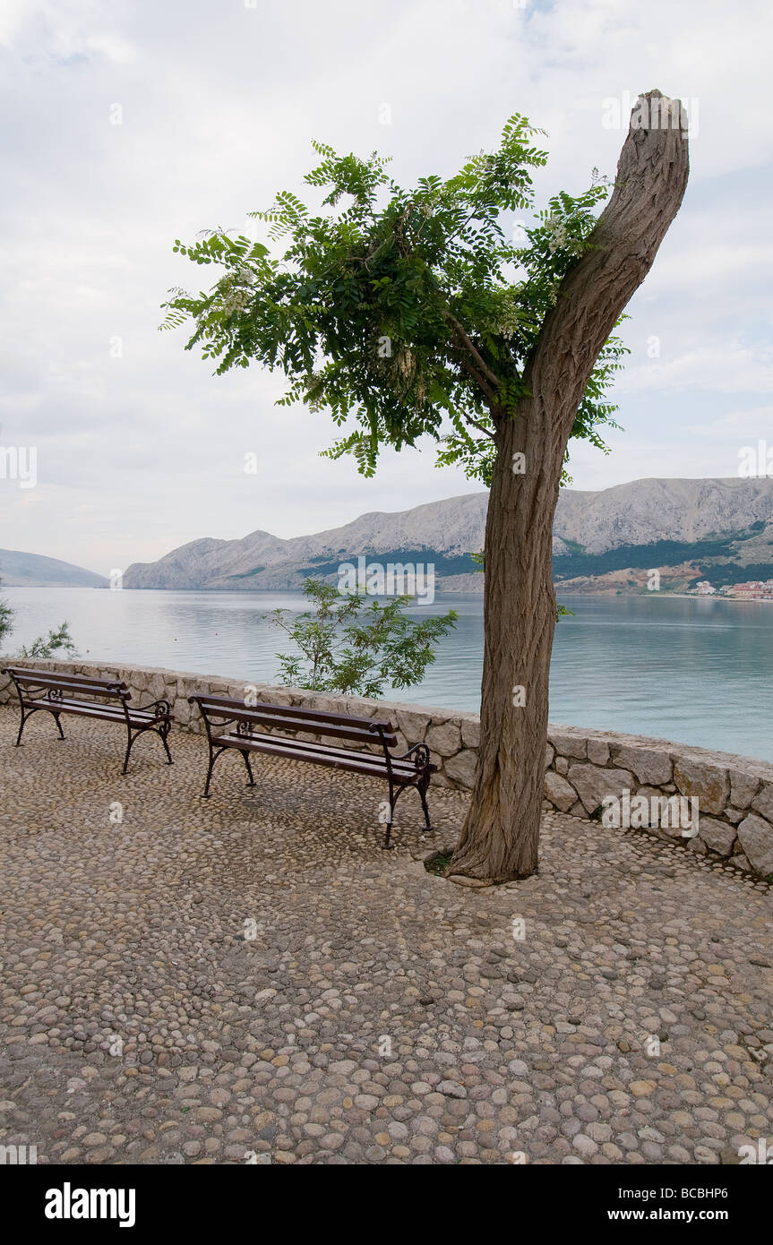 un arbre coupé sur la terrasse face à la mer Banque D'Images un arbre coupé sur la terrasse face à la mer Banque D'Images