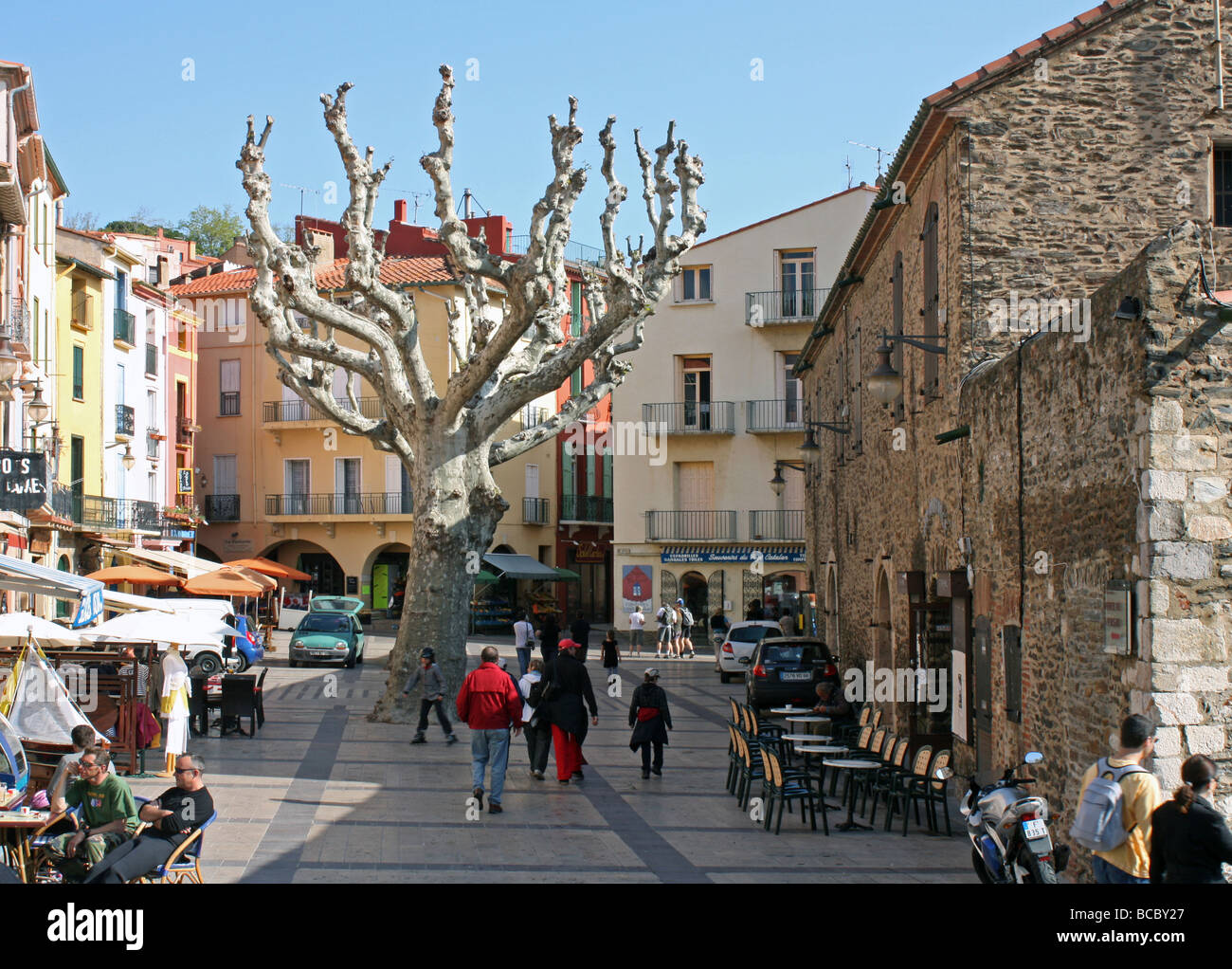 Town Square Collioure France Banque D'Images
