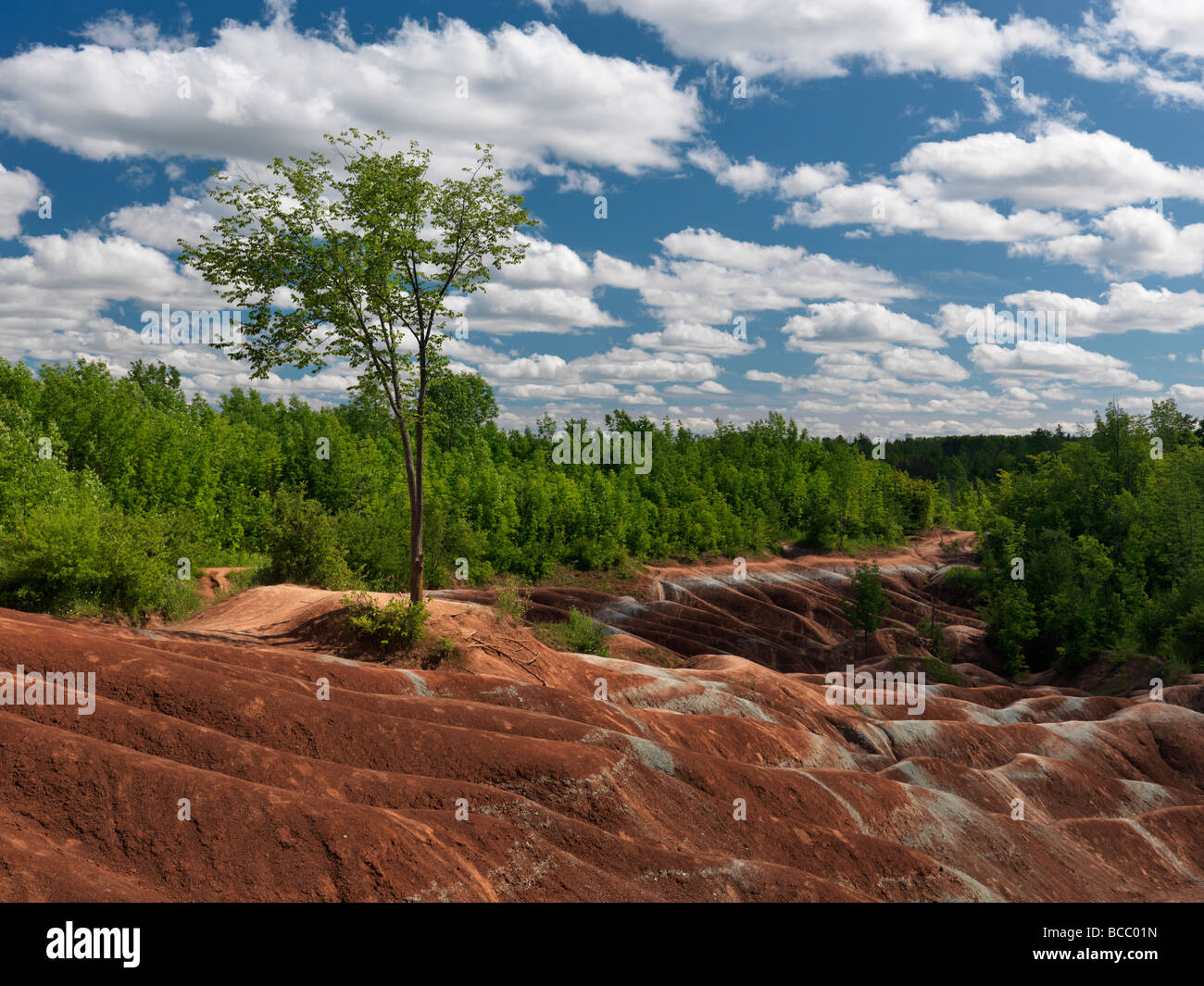 Badlands Cheltenham Ontario Canada summertime scenic Banque D'Images