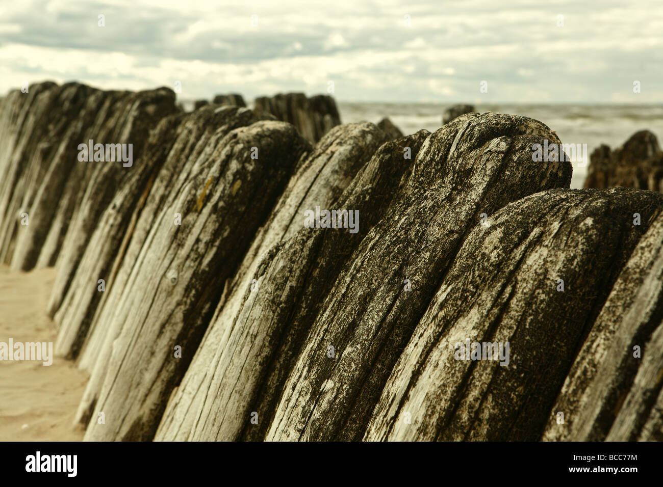 Vestiges de l'ancienne jetée, côte de la mer Baltique Banque D'Images