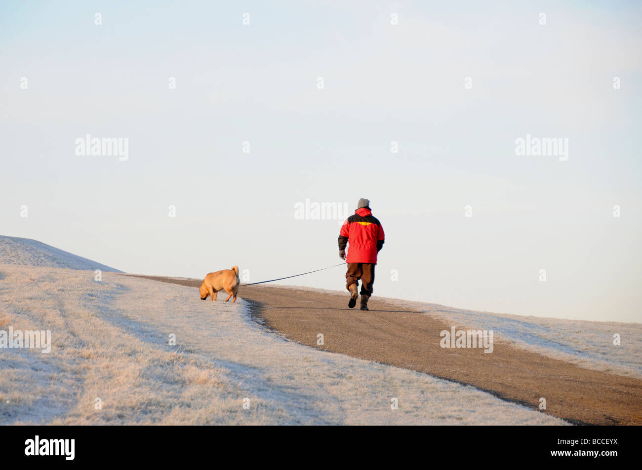 Dog walker, scène de gel en hiver, en Angleterre Banque D'Images