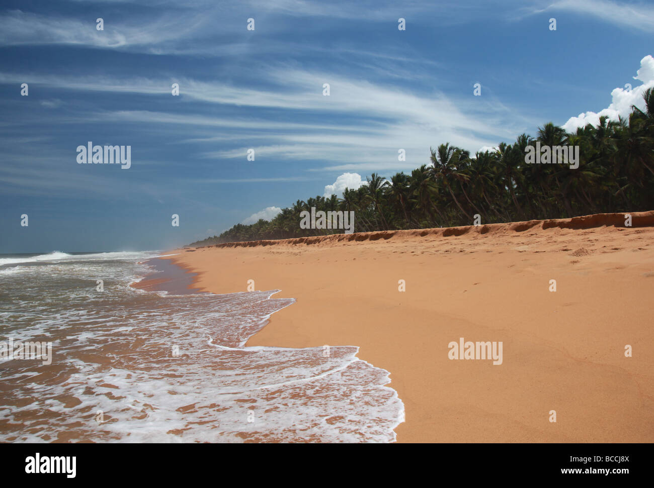 Vagues se brisant sur une plage au Kerala Banque D'Images