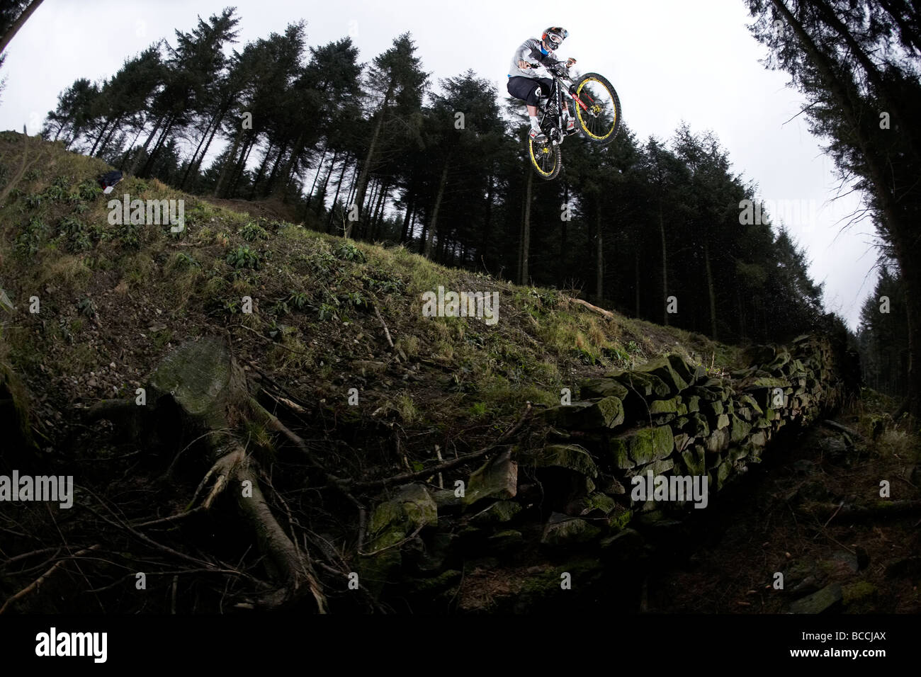 Mountain biker saute d'un mur de pierre dans une forêt Banque D'Images