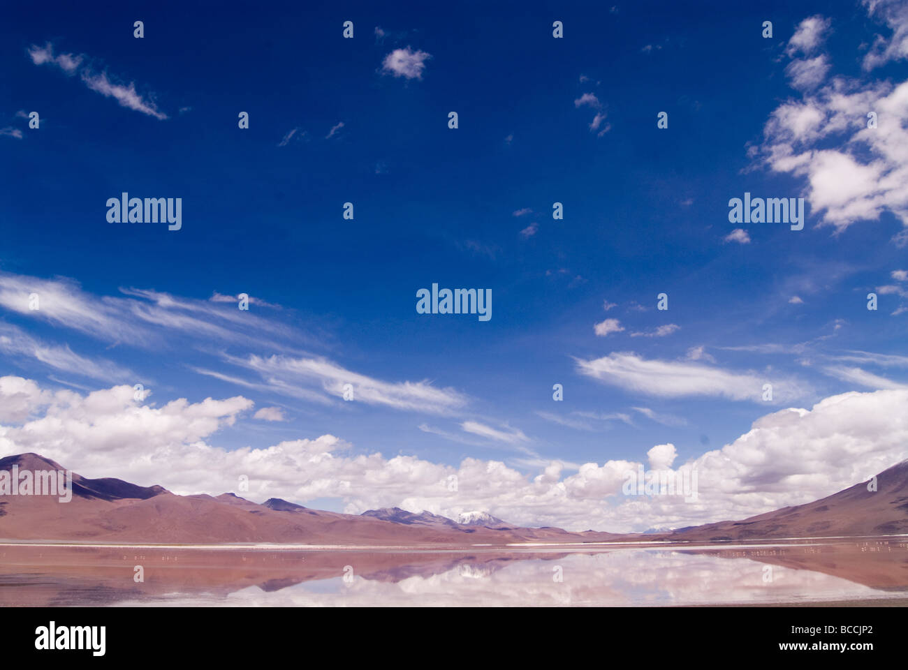 La Laguna Colorada (rouge) au sein de la faune andine Eduardo Avaroa réserve nationale en Bolivie Banque D'Images