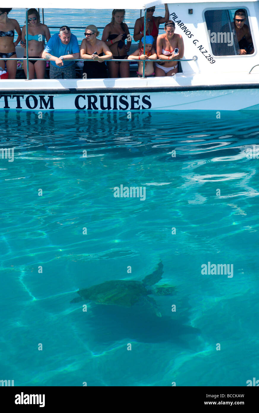 Personnes sur bateau de tourisme regarder tortue caouanne (Caretta caretta) la baie de Laganas, Zante Zante, Grèce/ Banque D'Images