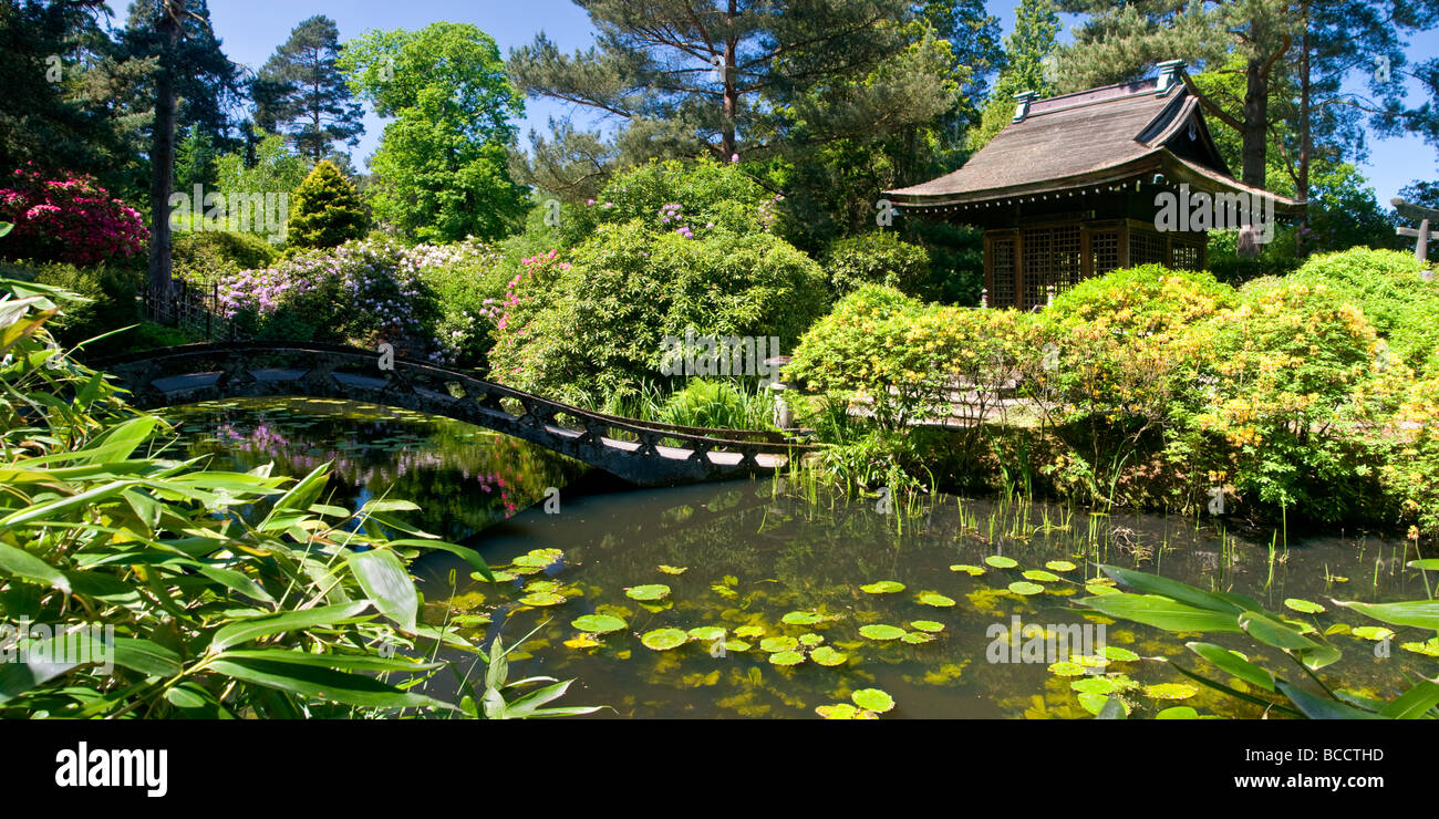Le Jardin Japonais à Tatton Park, près de Knutsford, Cheshire, England, UK Banque D'Images