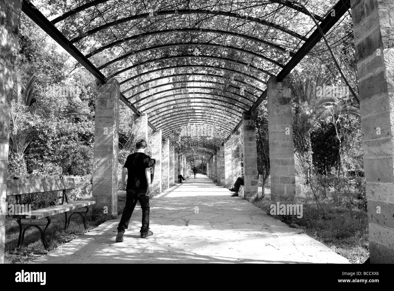Marcher à l'intérieur JARDIN NATIONAL D'ATHÈNES Banque D'Images