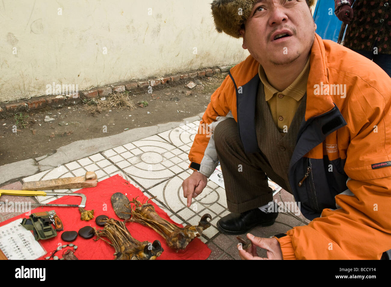 Le commerce illicite des parties d'animaux en Chine et de Tiger Paw d'autres parties de tigre ainsi que d'autres espèces sont vendus partout au menton Banque D'Images