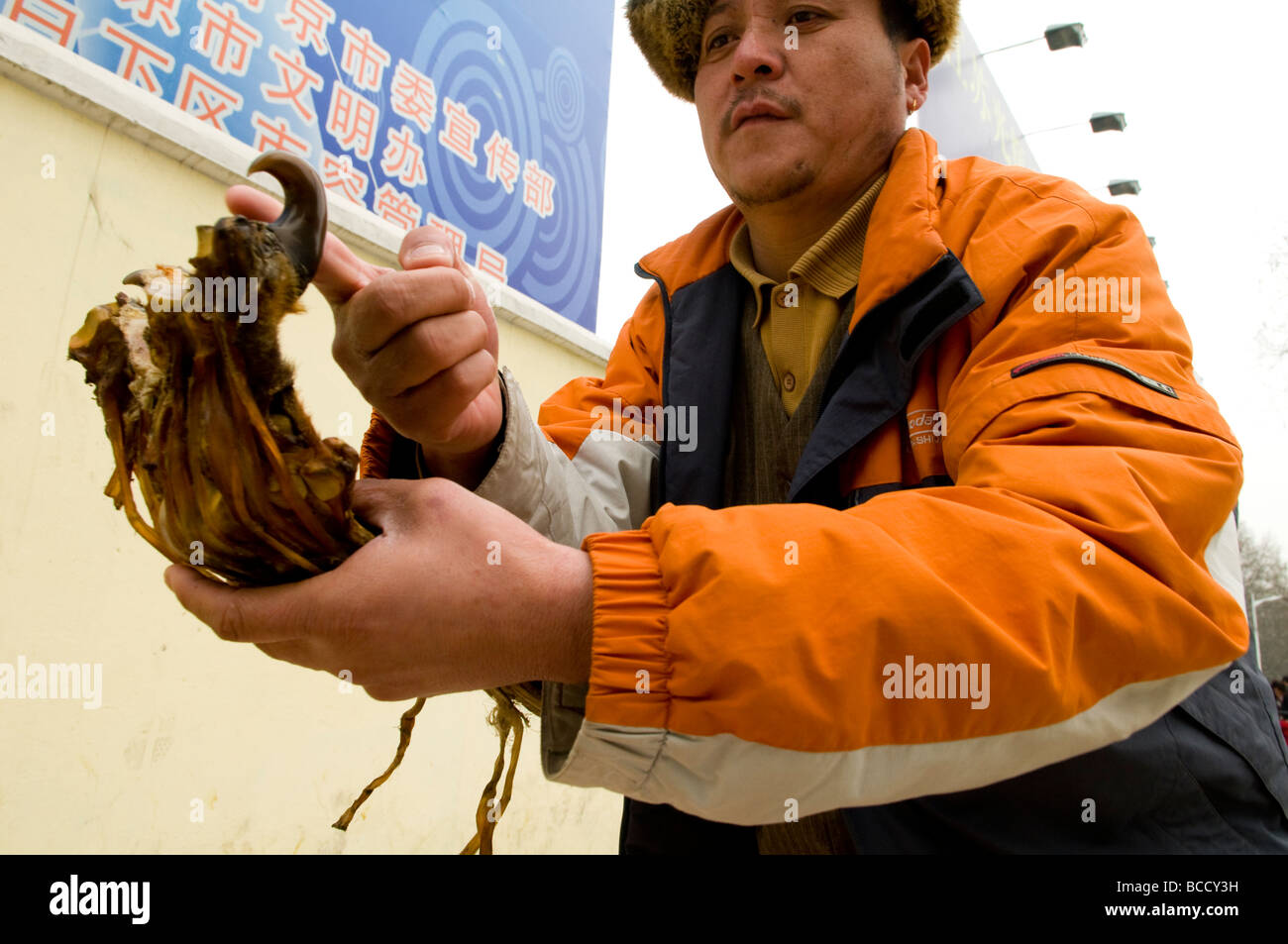 Le commerce illicite des parties d'animaux en Chine et de Tiger Paw d'autres parties de tigre ainsi que d'autres espèces sont vendus partout au menton Banque D'Images