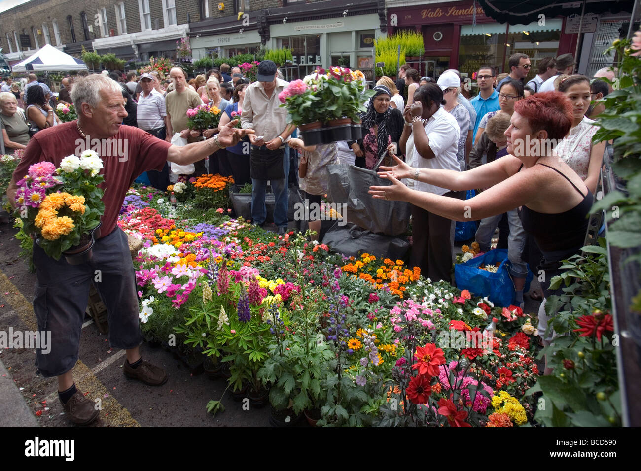 Columbia Road Flower Market à Londres Banque D'Images