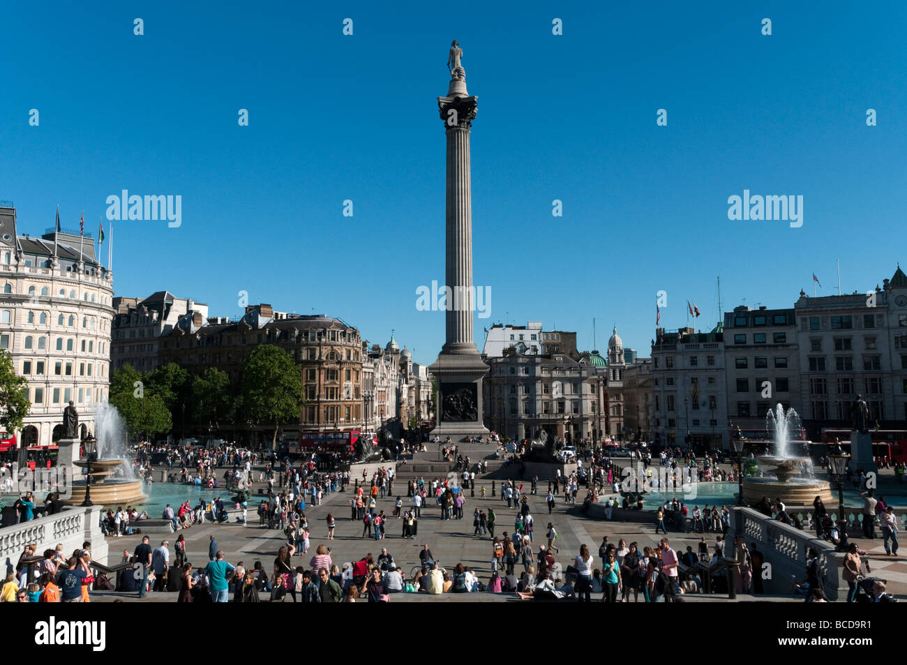 La colonne Nelson à Trafalgar Square, London, England, UK Banque D'Images