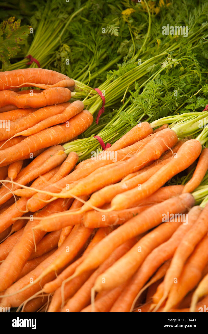 Marché des producteurs de carottes Santa Barbara California United States of America Banque D'Images