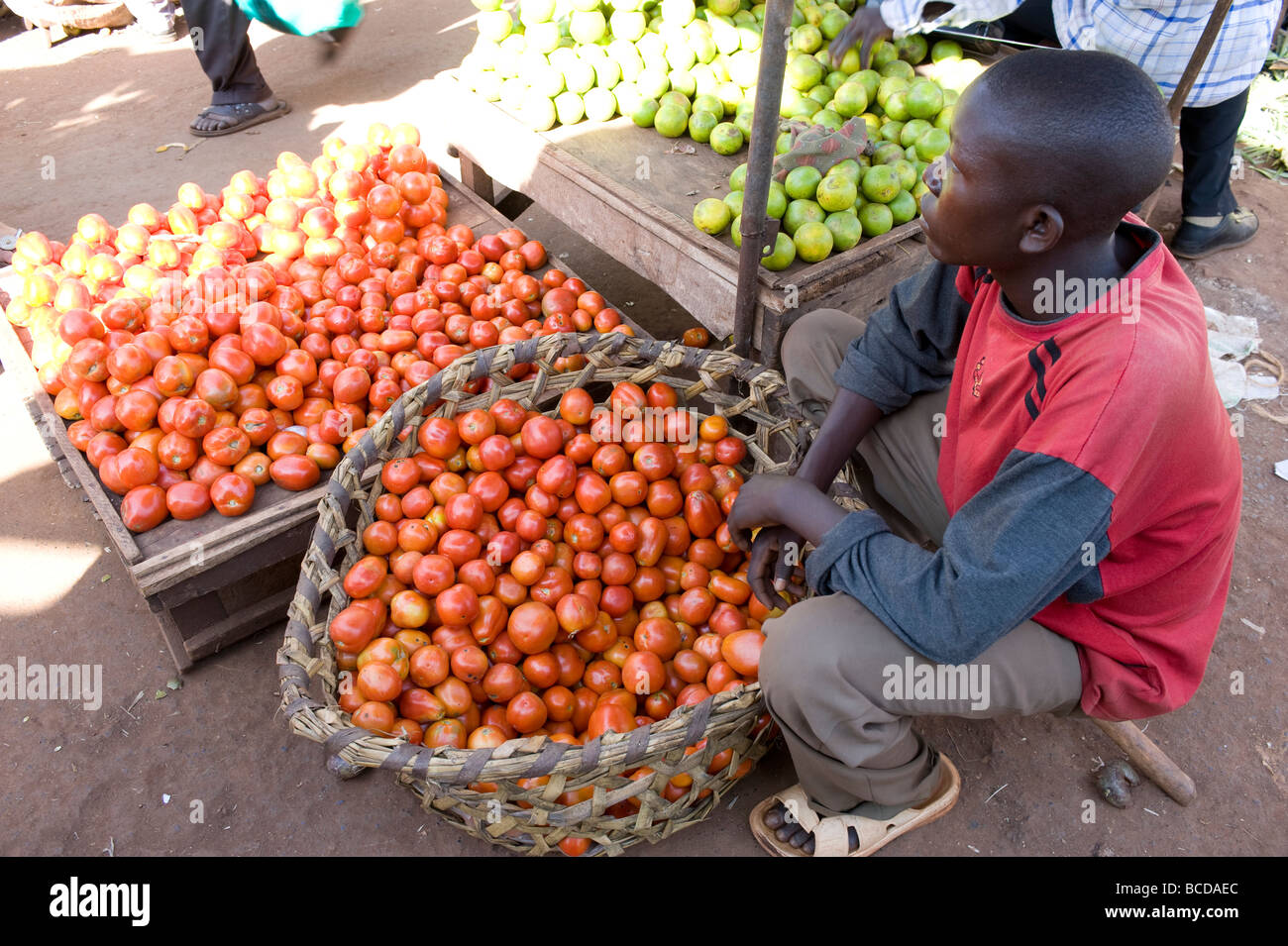 Des tomates pour la vente sur stand. Jinja, Ouganda, Afrique du Sud Banque D'Images