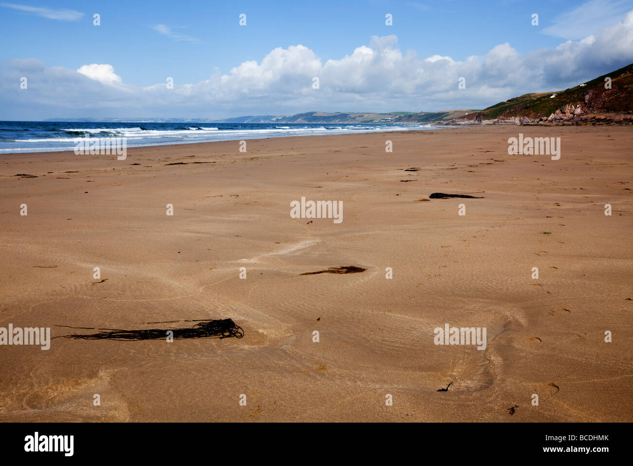 Sur la plage de sable doré à Tregonhawke, Falaise, Cornwall Whitsand bay Banque D'Images