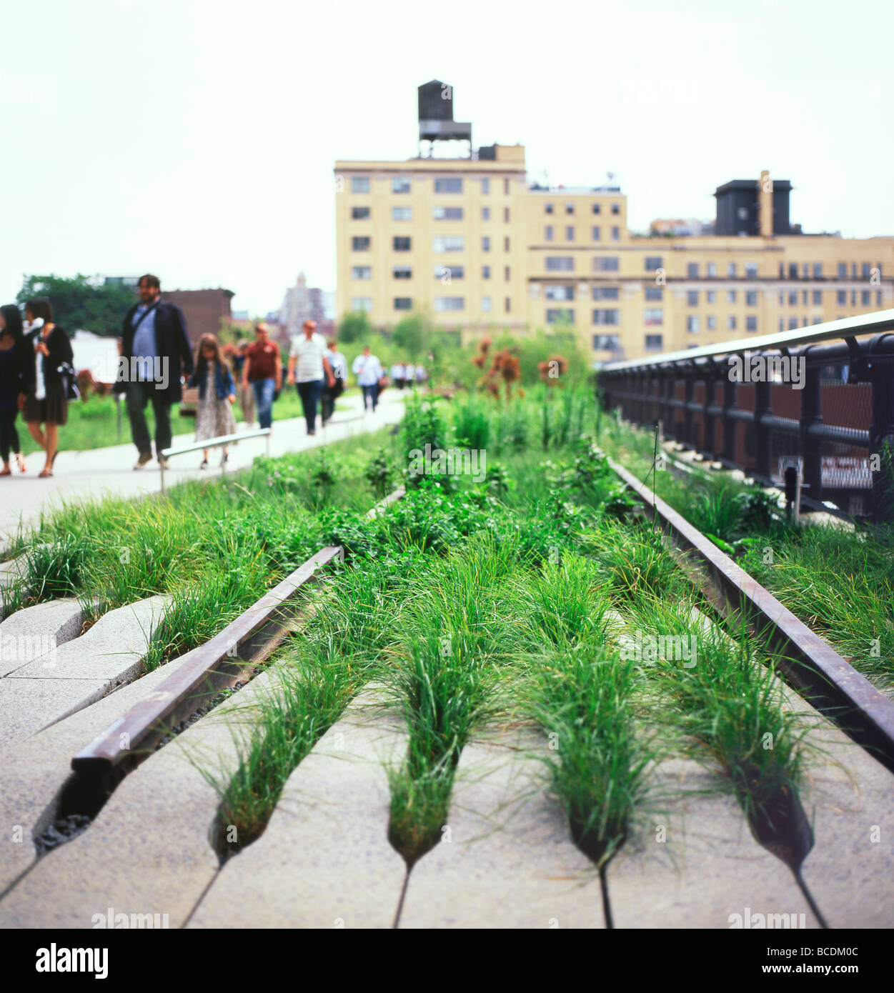 Les gens se promener le long de l'ancienne jalonnages plantées d'herbes ornementales au Le parc High Line à New York City New York USA US Nord KATHY DEWITT Banque D'Images