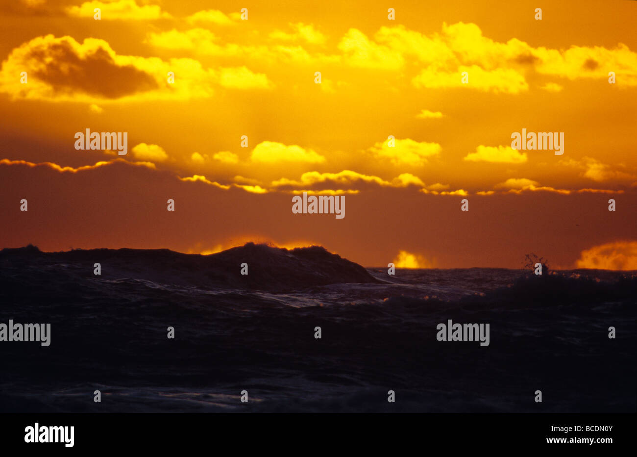 Coucher du soleil tombe sur une mer déchaînée et les vagues sur une côte sauvage. Banque D'Images