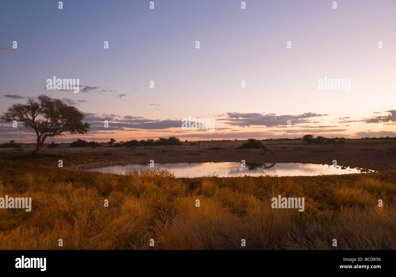 Coucher du soleil à un étang dans le parc national d'Etosha en Namibie Banque D'Images