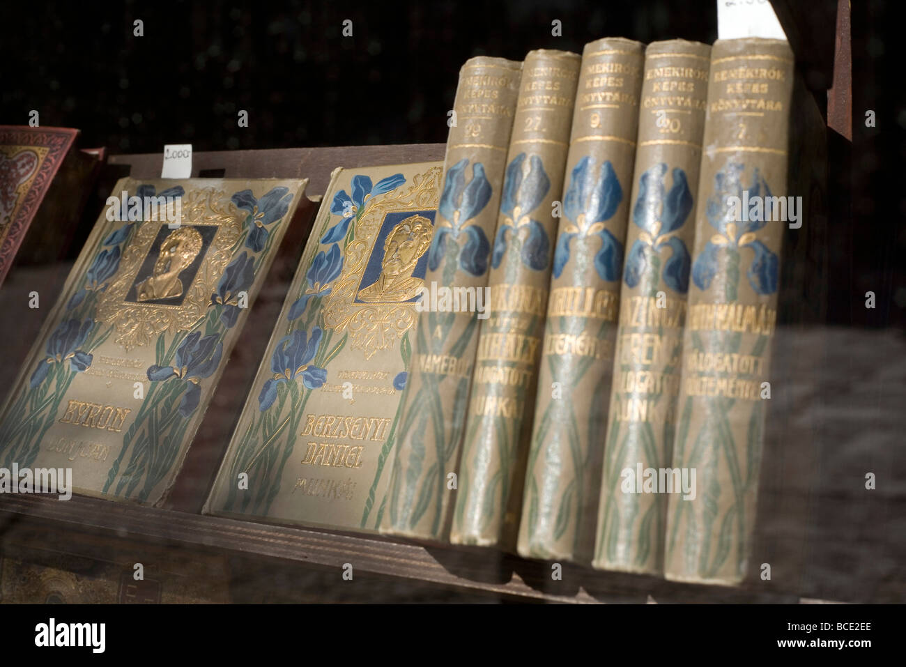 Livres anciens en vente dans une librairie de Pecs, en Hongrie. Pécs a été choisie comme ville européenne de la Culture 2010 Banque D'Images