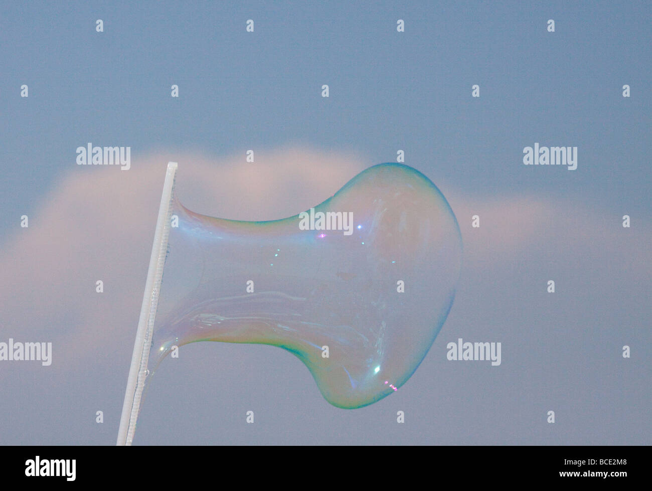 Les grandes bulles irisées qui se forme sur une bulle wand dans brise légère avec un fond de ciel bleu nuageux Banque D'Images