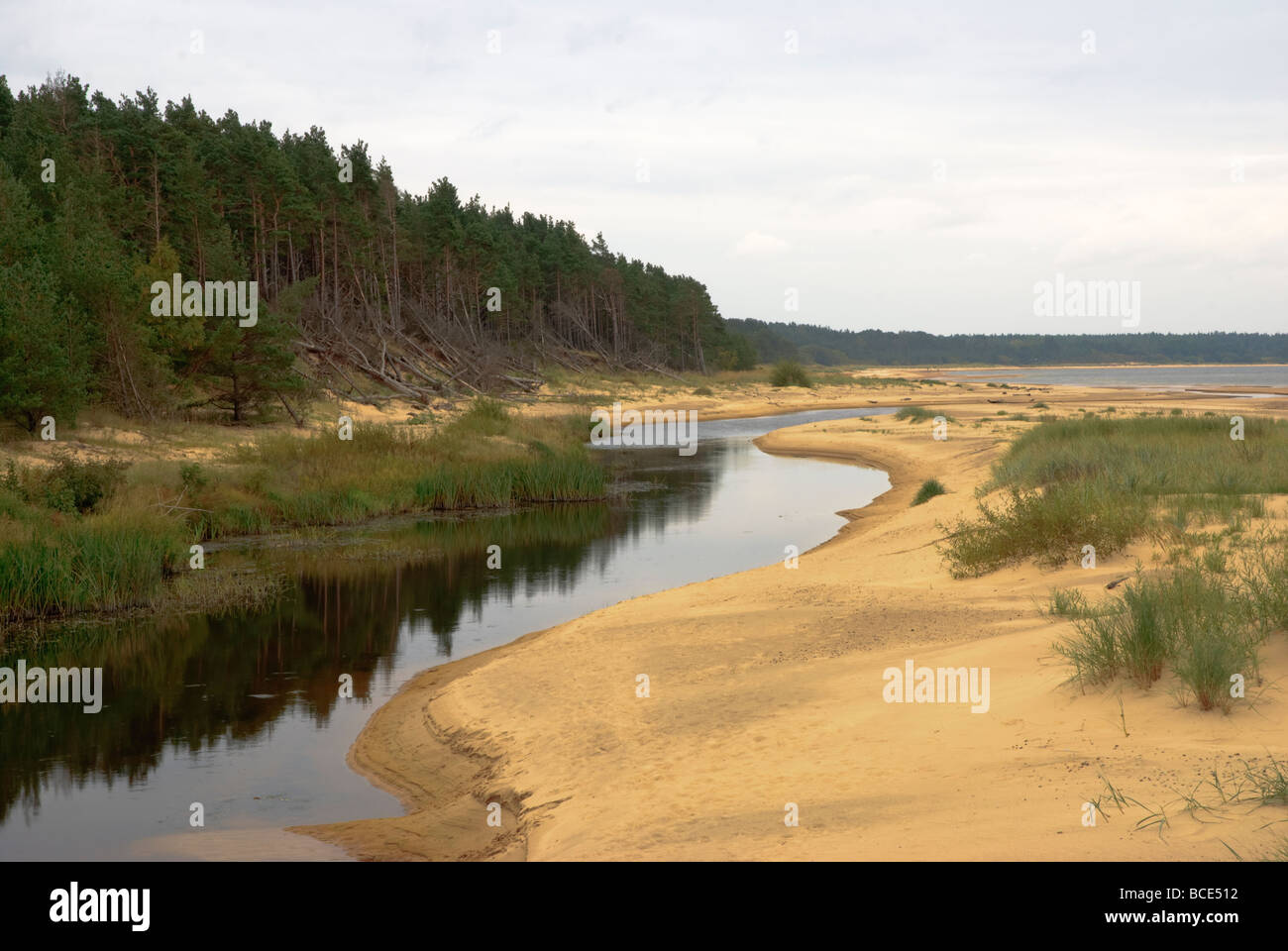 Vitrupe dans la bouche de la rivière North Vidzeme, Lettonie Banque D'Images