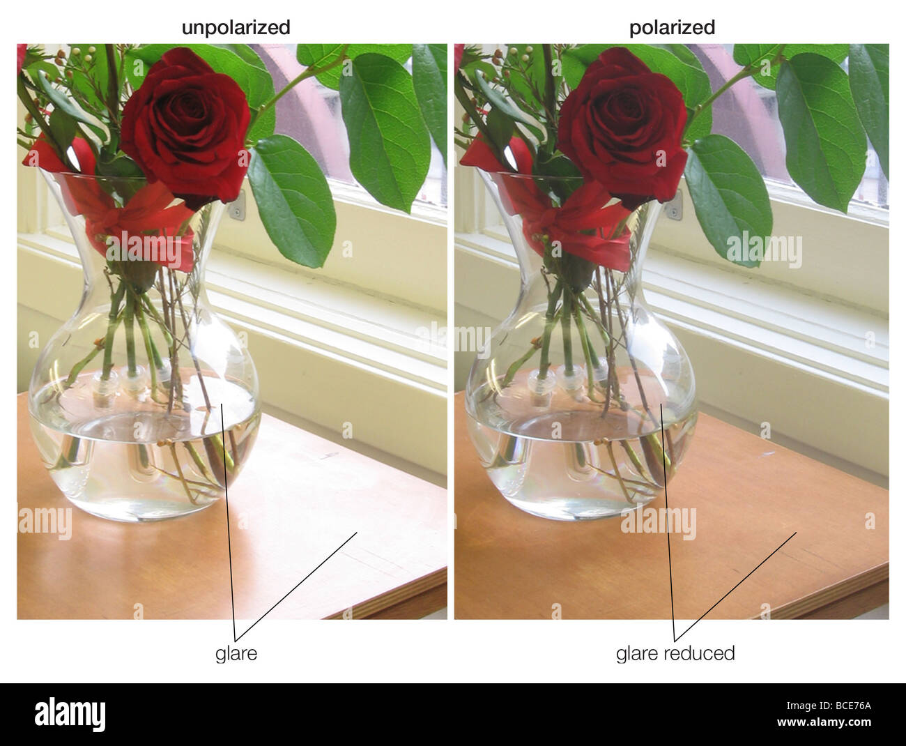 Les lentilles polarisées bloquer sélectivement la lumière de l'orientation horizontale, résultant en une diminution radicale de l'éblouissement. Banque D'Images
