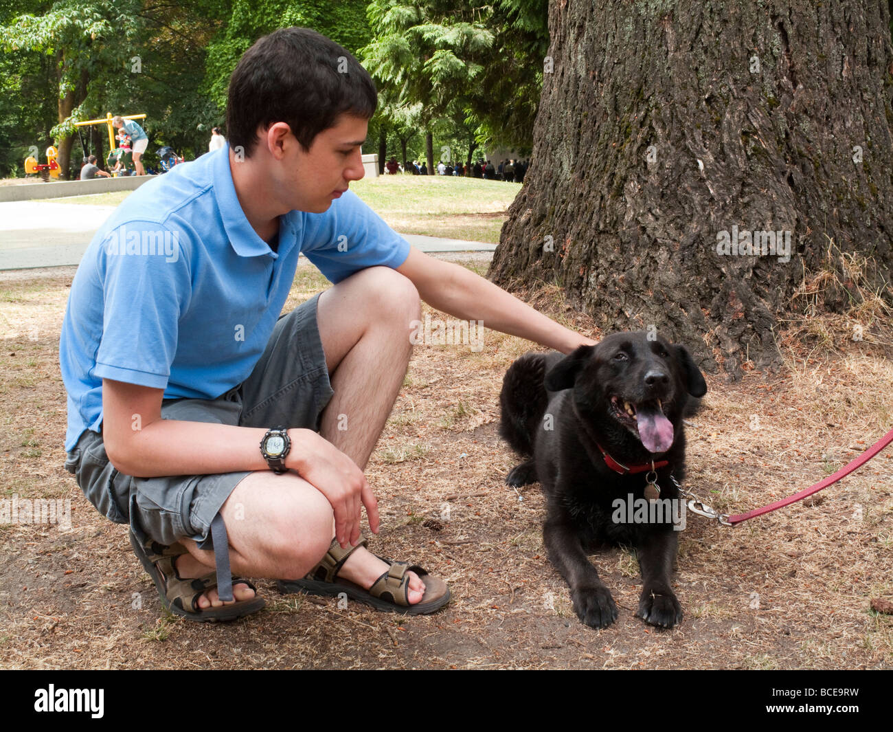 Adolescent petting dog Banque D'Images
