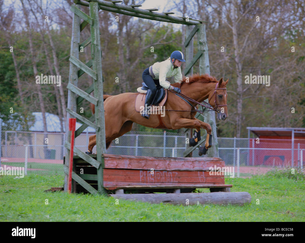 Equestrian Cross Country jump saut à cheval baie lumineuse Banque D'Images