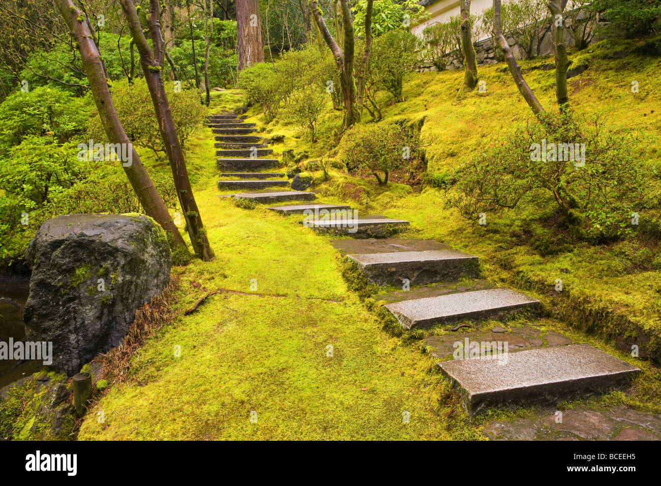 Ce sont les escaliers dans le jardin naturel du jardin japonais de Portland de Portland, Oregon, USA Banque D'Images