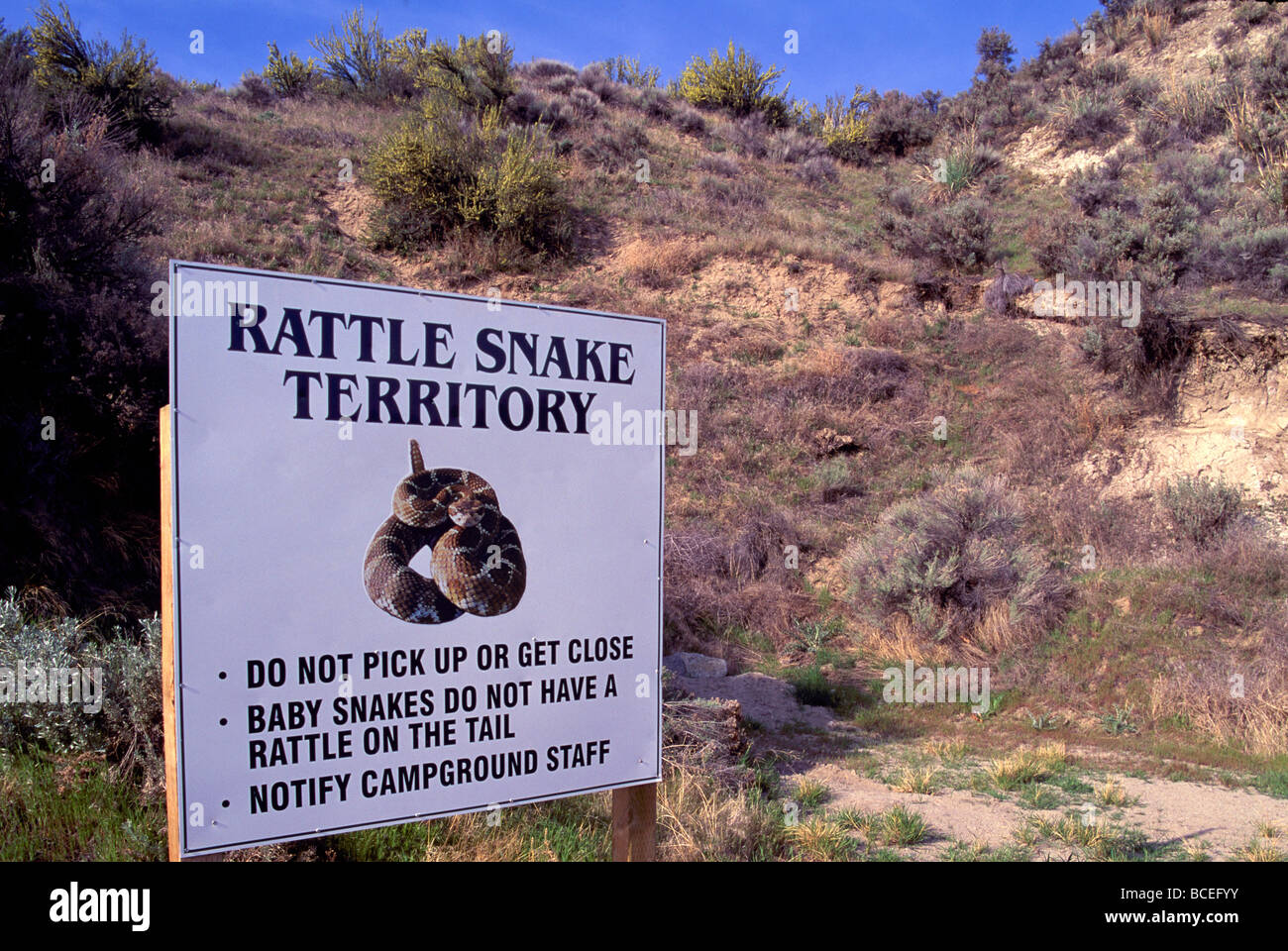 Rattlesnake Panneau d'avertissement dans la 'Pocket' sur le désert de Nk'Mip Native Indian Reservation Osoyoos, British Columbia Canada Banque D'Images