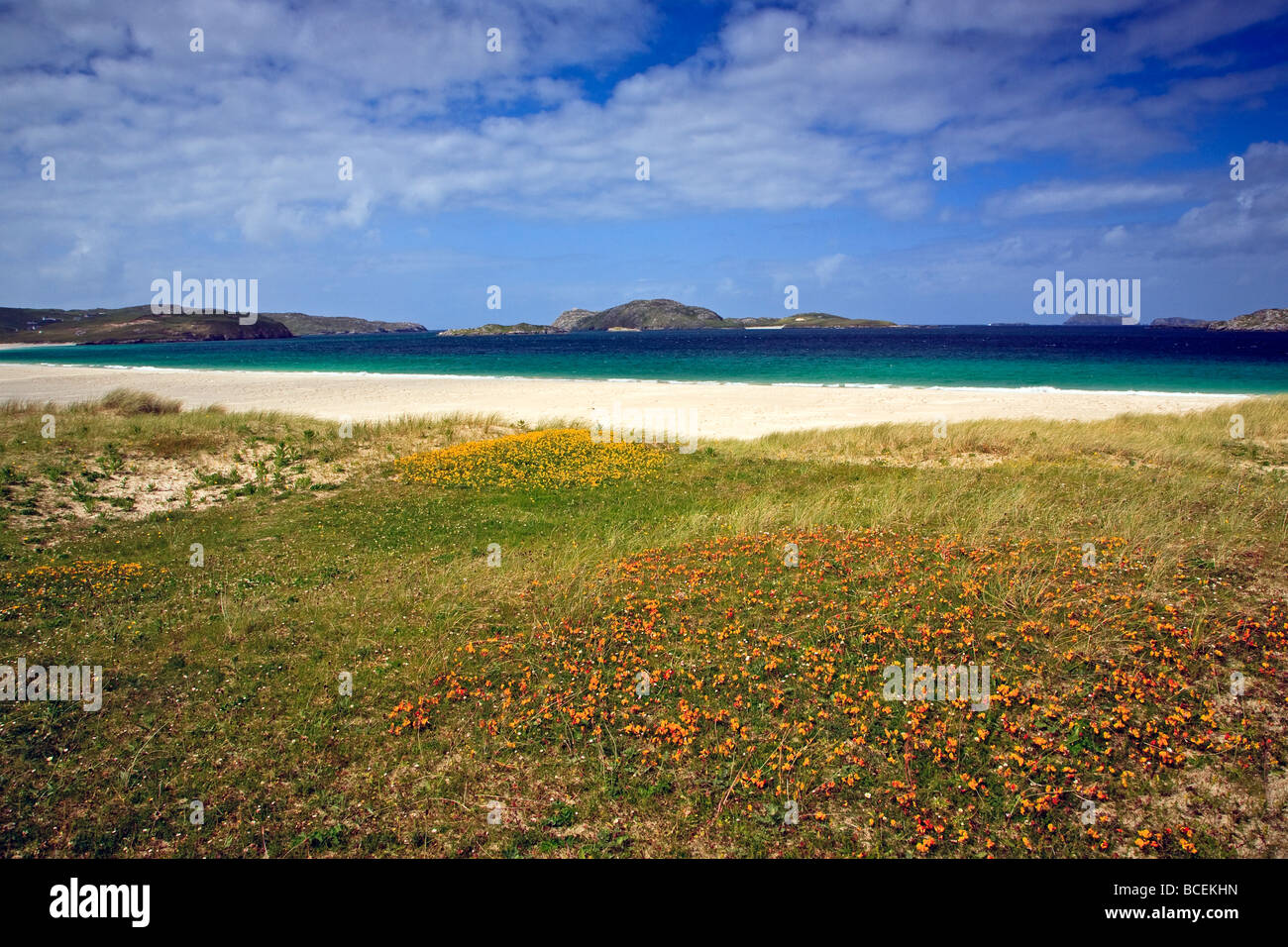 Reef Beach Isle Of Lewis, Western Isles, Hébrides extérieures en Écosse, Royaume-Uni 2009 Banque D'Images