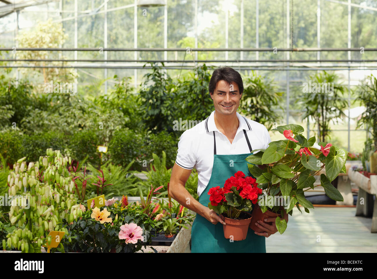 Male florist smiling and looking at camera Banque D'Images