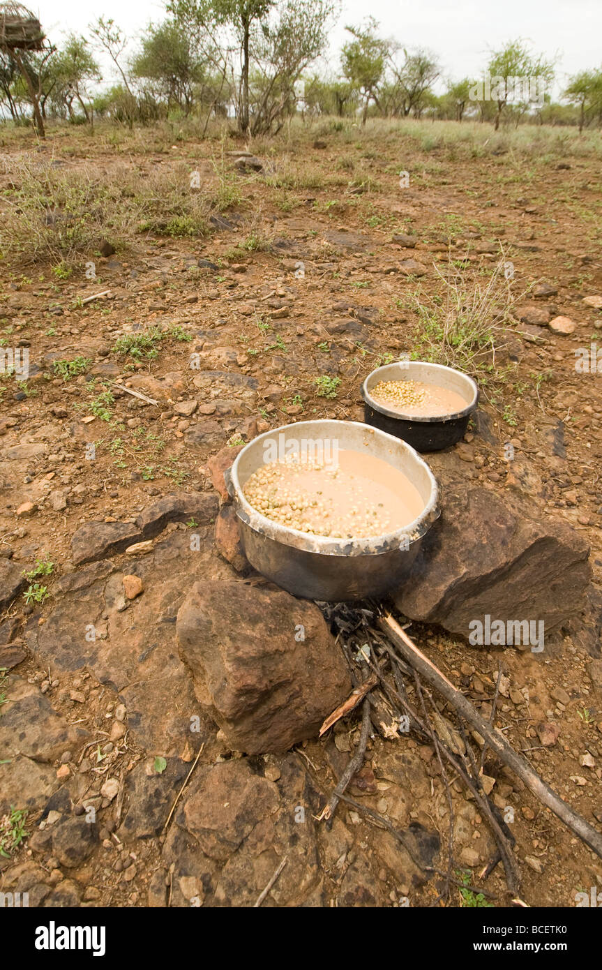 Des pots de baies toxiques loma sur feu ouvert sur terrain en Afrique Banque D'Images