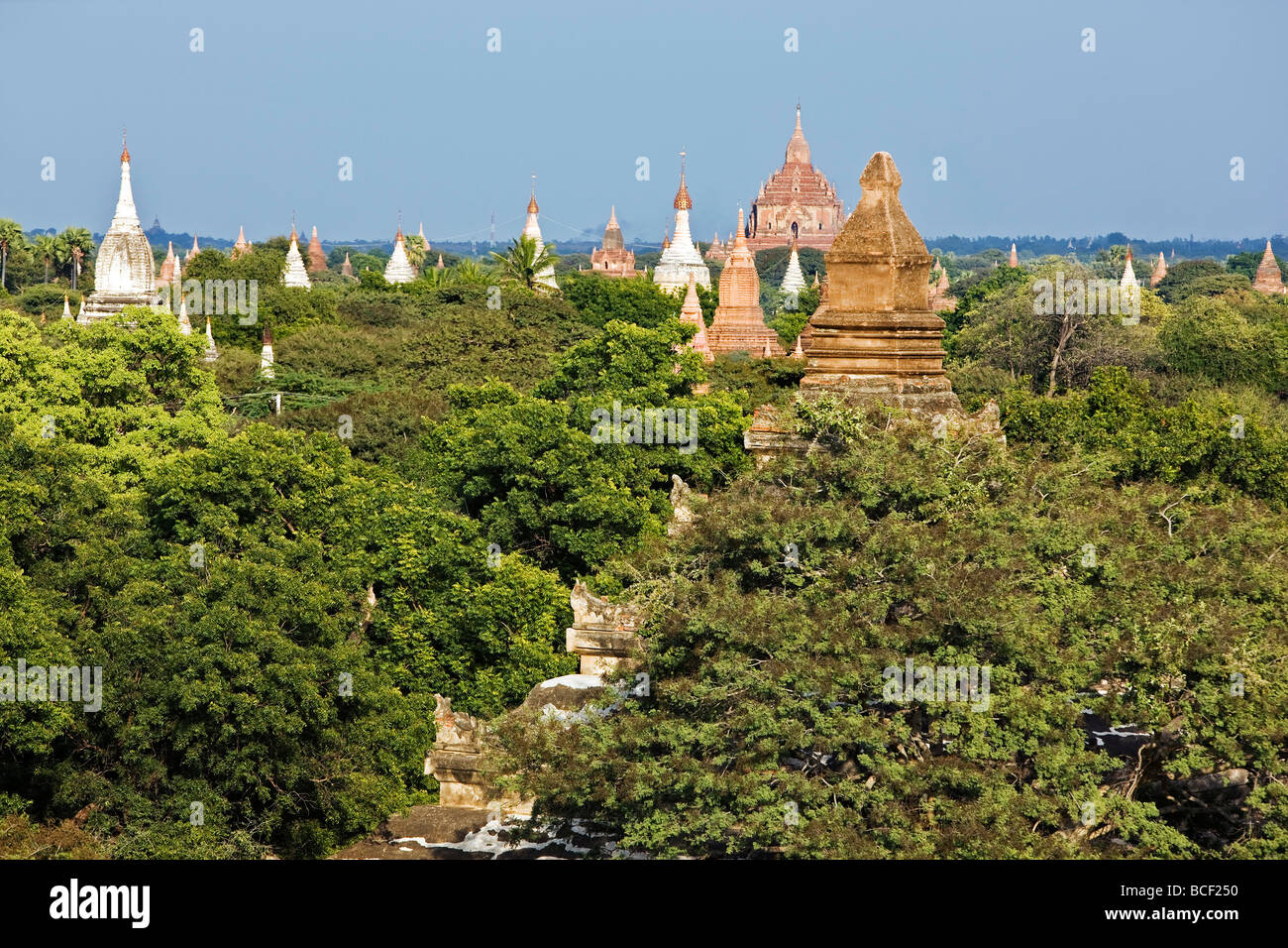 Le Myanmar. La Birmanie. Bagan. Temples bouddhistes antiques sur la plaine centrale de Bagan. Banque D'Images