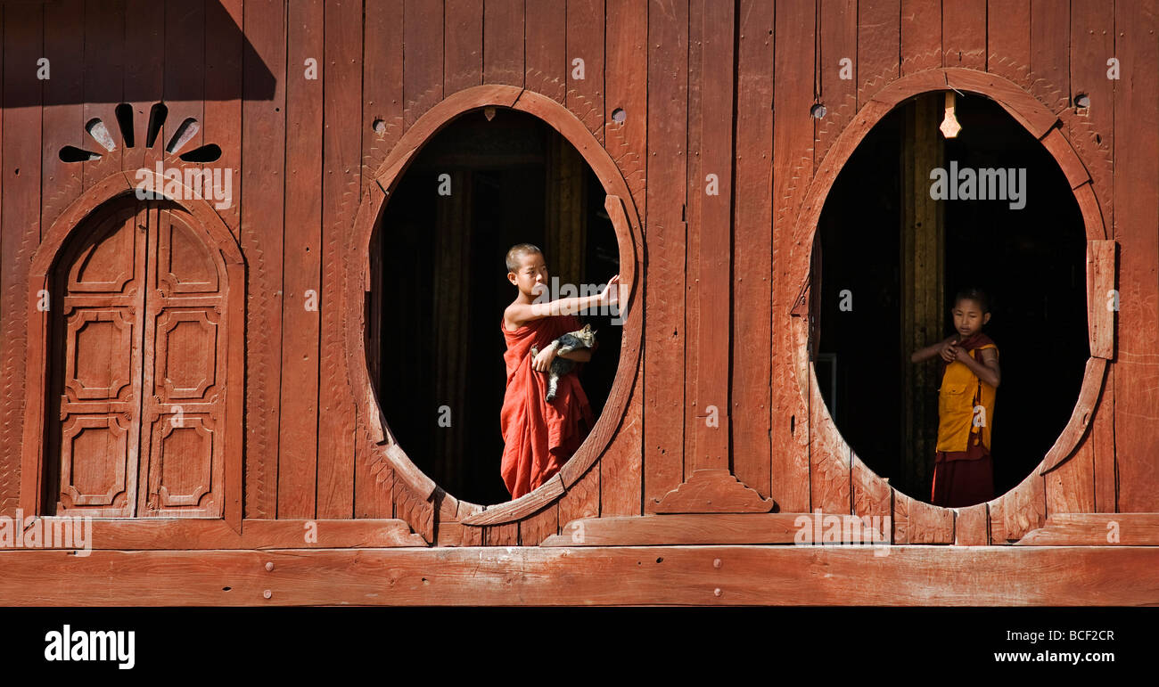 Le Myanmar. La Birmanie. À Nyaung shwe. Les jeunes moines novices à l'ovale de windows le beau bois Shwe Yaunghwe monastère. Banque D'Images