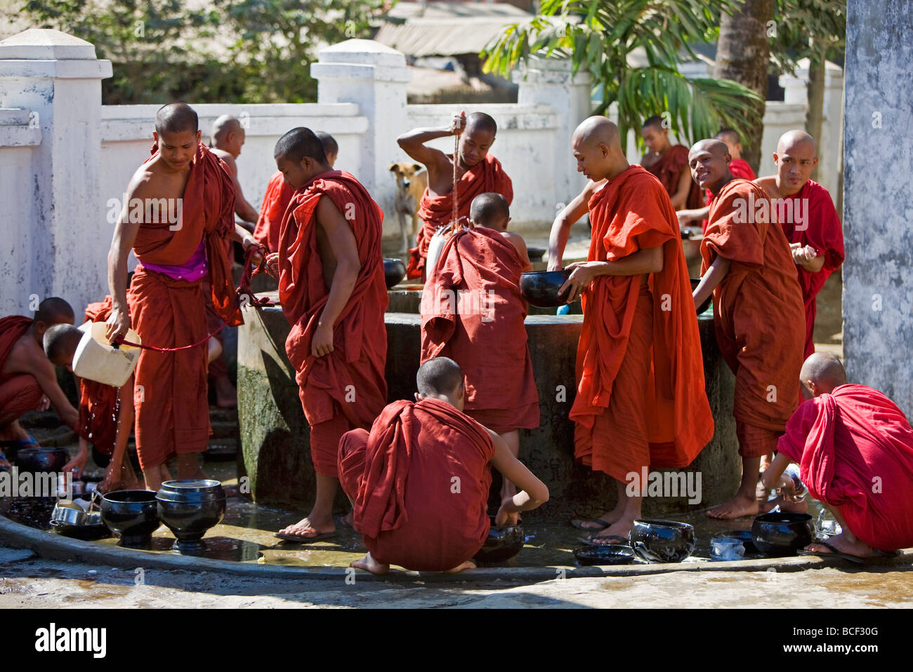 Le Myanmar, la Birmanie, l'État de Rakhine, Sittwe. Les jeunes moines novices se laver les ustensiles à un puits à Pathain monastère. Banque D'Images