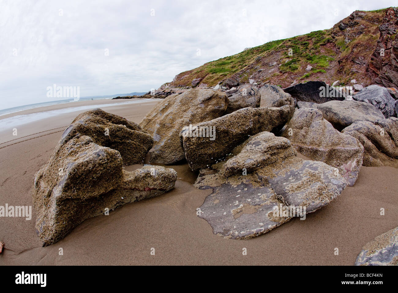, Whitsand Bay Cornwall : sable doré ponctuée par endroits par des affleurements de roche Banque D'Images