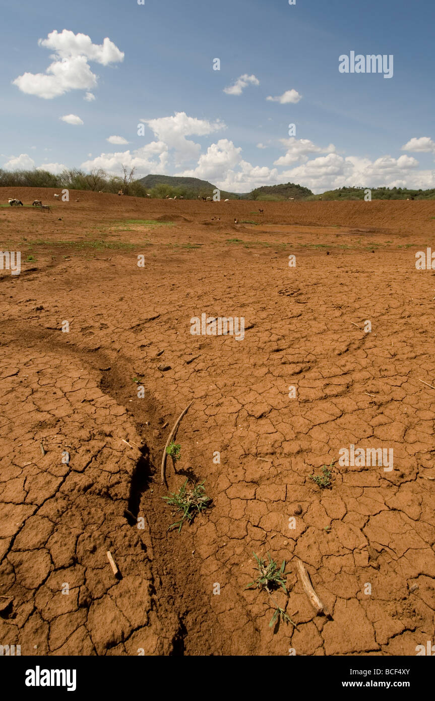 La sécheresse dans la vallée du Rift au Kenya Afrique Banque D'Images