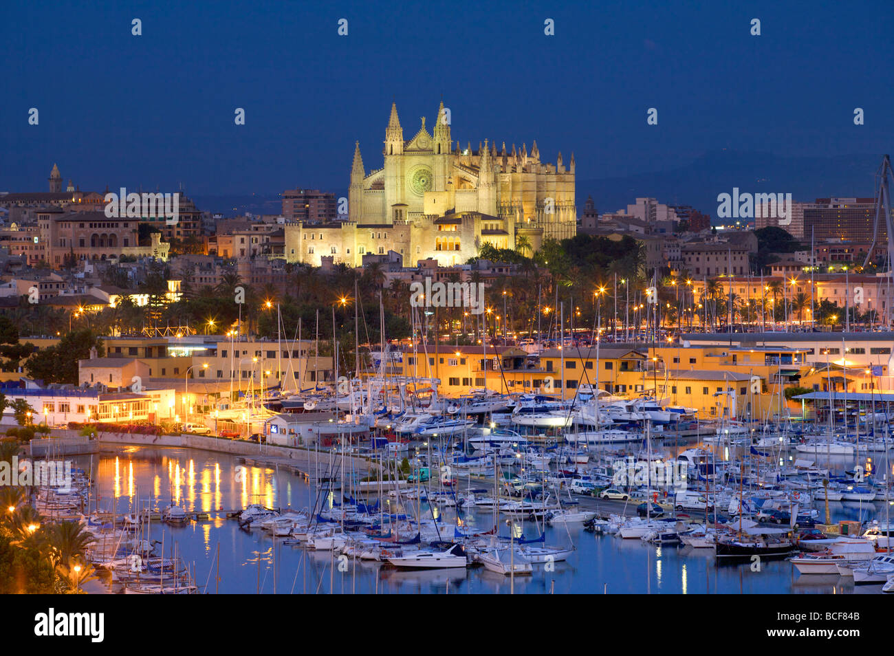 Cathédrale, Palma, Majorque, Espagne Banque D'Images