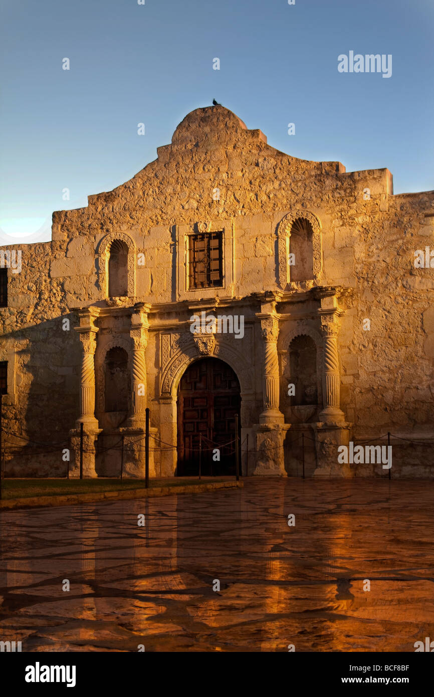 L'Alamo à San Antonio, Texas, reflétée sur le sol humide après la pluie s'était passé. Banque D'Images