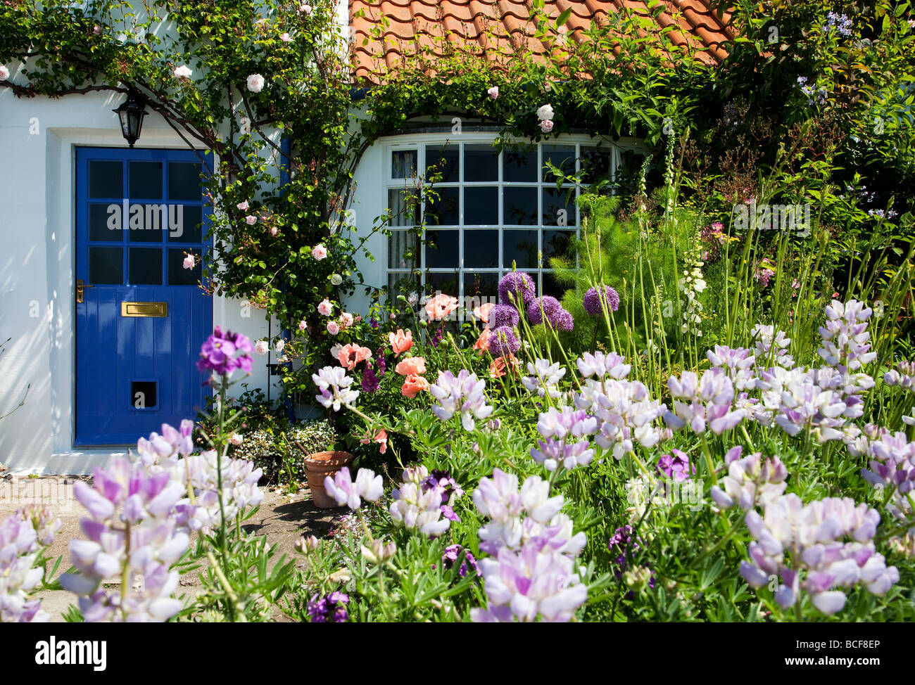 Seaside Cottage Garden North Yorkshire Coast Banque D'Images