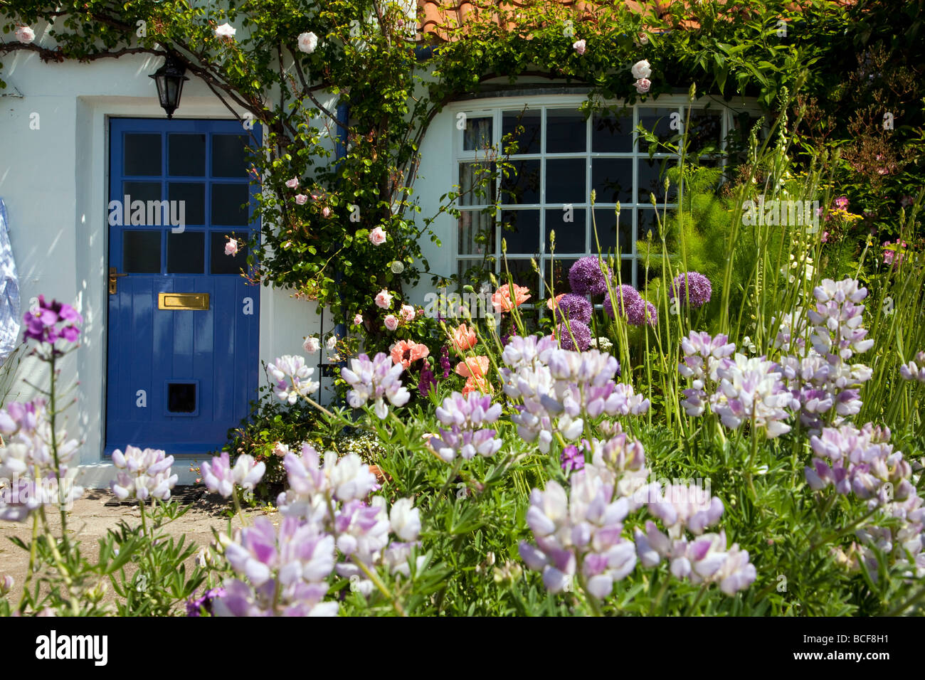 Seaside Cottage Garden North Yorkshire Coast Banque D'Images