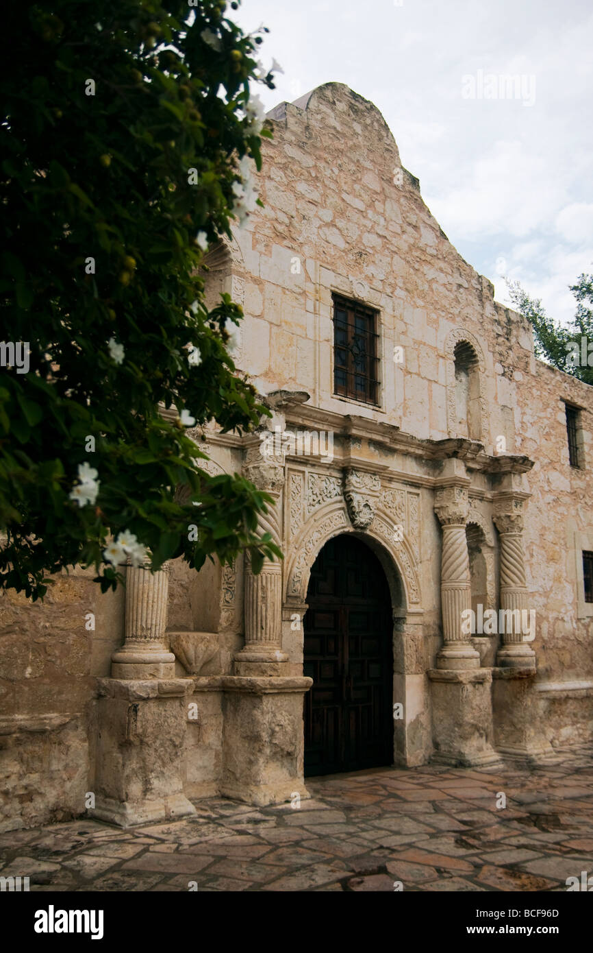 Tôt le matin à l'Alamo à San Antonio, Texas, USA Banque D'Images