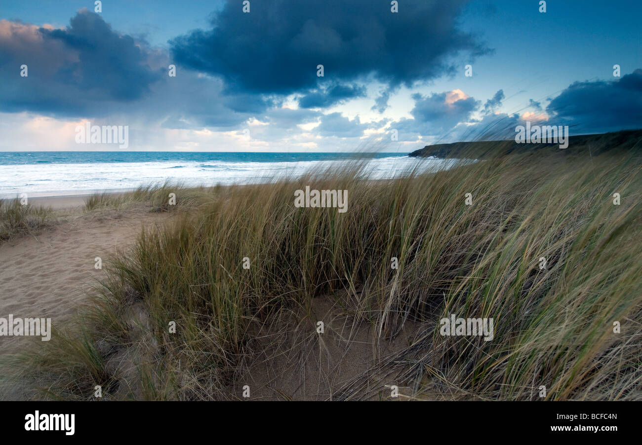 Les herbes des dunes de sable au nord de la baie de Holywell Cornwall Banque D'Images