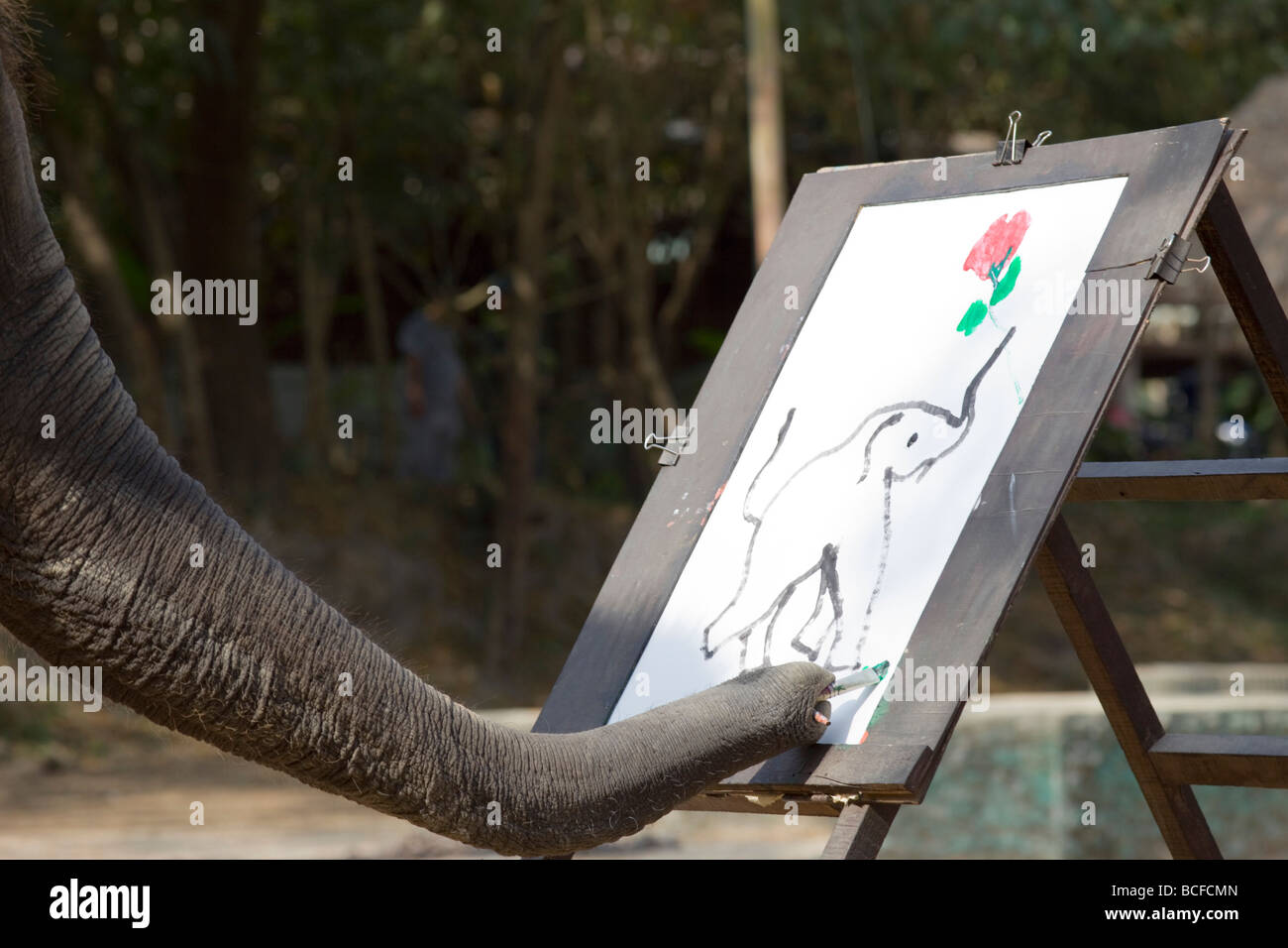 La Thaïlande, Chiang Mai, Elephant Camp, Elephant Show, la peinture de l'éléphant Banque D'Images